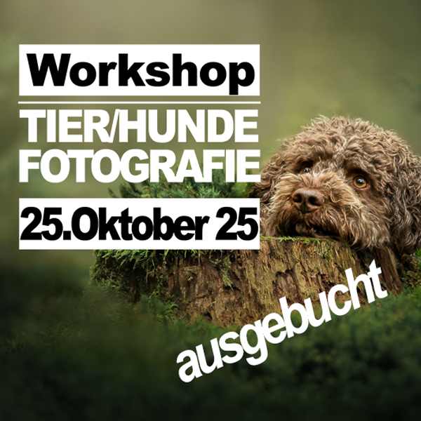 <b>Workshop Tierfotografie mit Nadine Grove </b><br>Samstag, 25.10.2025